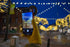 Ninja Filter Adapter Kit - Creative Universal & Magnetic Accessories for Smartphones: Ninja Magnetic Core, Filter Adapter