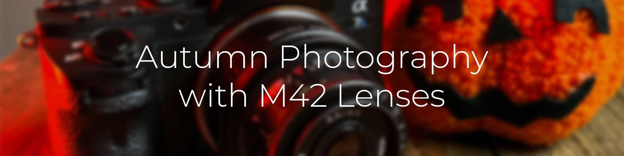Autumn Photography with M42 Lenses