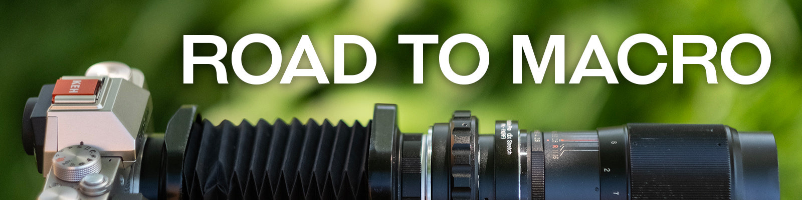 Road to Macro