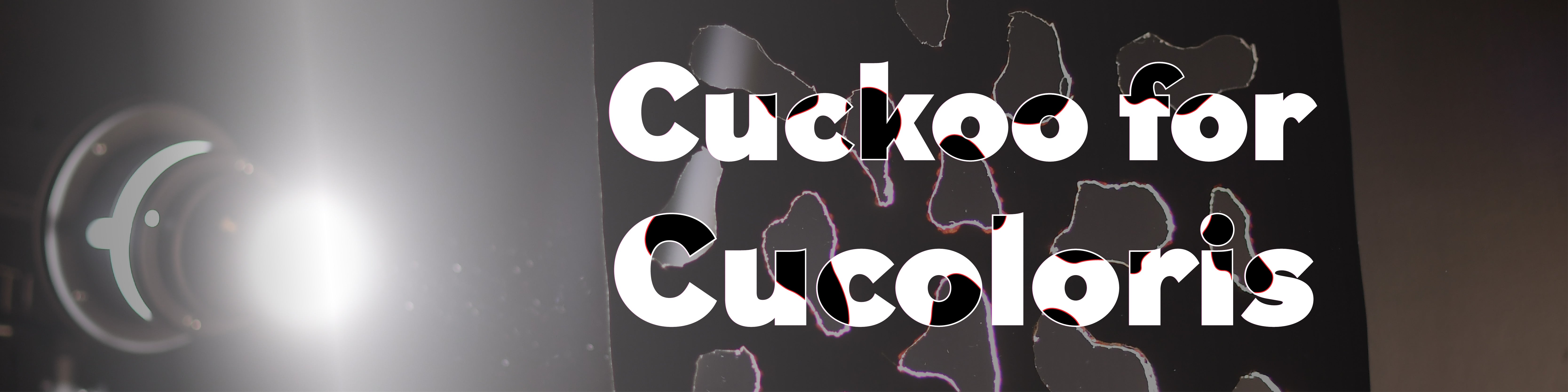 Cuckoo for Cucoloris