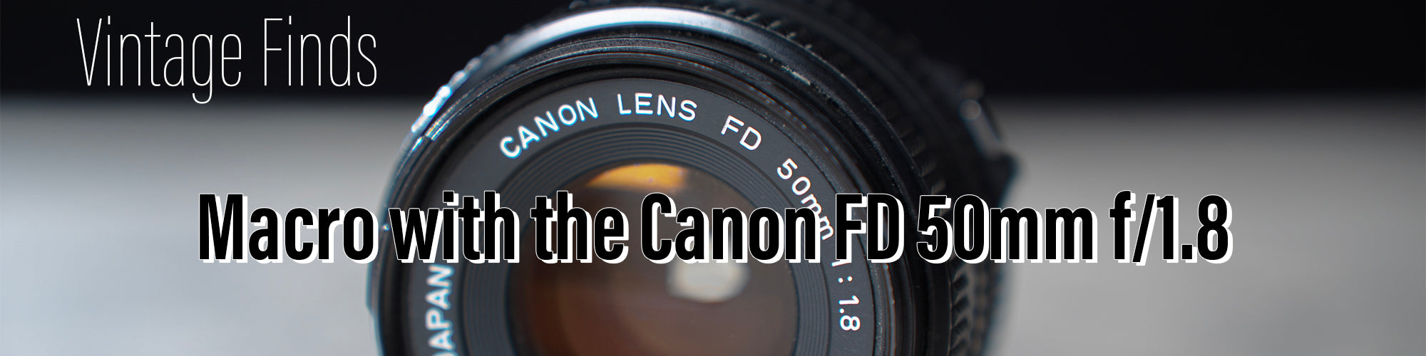 Vintage Finds: Macro with the Canon FD 50mm f/1.8