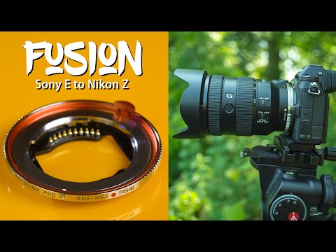 Fusion Smart AF Adapter - Sony E-Mount Lens to Nikon Z-Mount Camera –  Fotodiox, Inc. USA