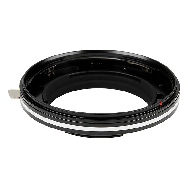 BPG-P645-P-01_grande.jpg?v=