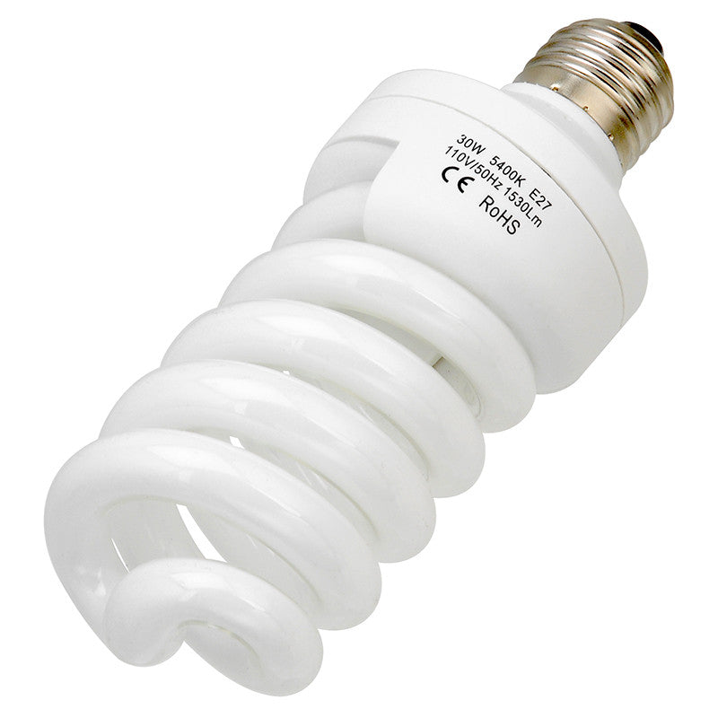 30 Watt Daylight Compact Fluorescent (CFL) Light Bulb