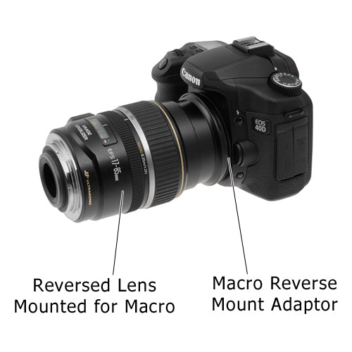 datum Beschikbaar baas Macro Reverse Ring for Canon - Camera Mount to Filter Thread Adapter f –  Fotodiox, Inc. USA